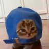 𝐌𝐞𝐨𝐰✧'s profile picture