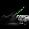 BlackSheepOnChain profil fotoğrafı