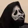 Gman's profile picture