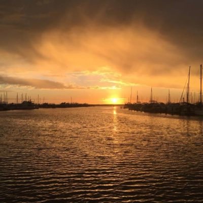 _nik_nik6's profile picture