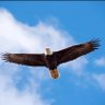 Фото профиля Big Man Things 🦅🦅