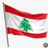 elie karam's profile picture
