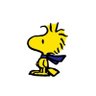 Tim's profile picture
