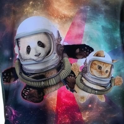 EverythingUnis_'s profile picture