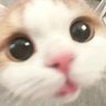 meow profil fotoğrafı