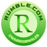 Cymru Against Zionism's profile picture