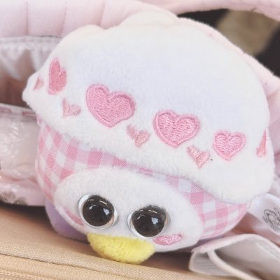 天使ねるね†🎀's profile picture
