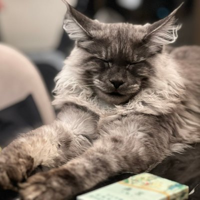 SkyFuhh's profile picture