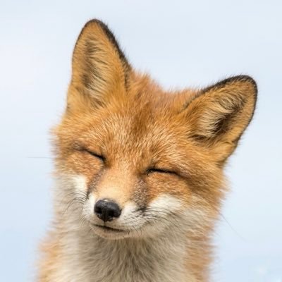 Conrad's profile picture