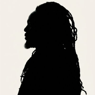 Blaze Officiel's profile picture