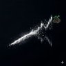 Wy_Kreska's profile picture