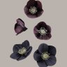 Фото профиля Cricos