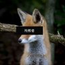Enjeru's profile picture