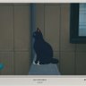 gubg 的头像