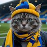 LRDR's profile picture