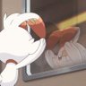 Profilbild von そら🎼🍍