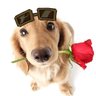 Фото профиля 🌹 theo HIDEDUO ARE ENGAGEDDD