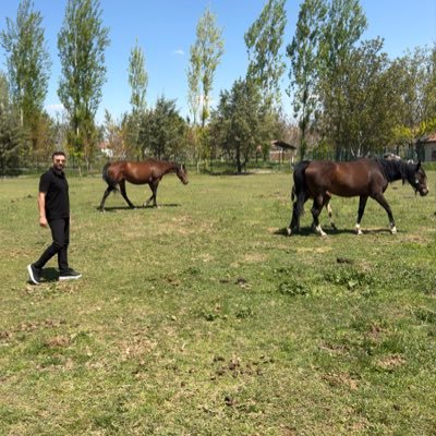 canahrasoglu's profile picture
