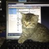Shemol profil fotoğrafı