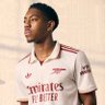 Arsenal Next-Gen.'s profile picture