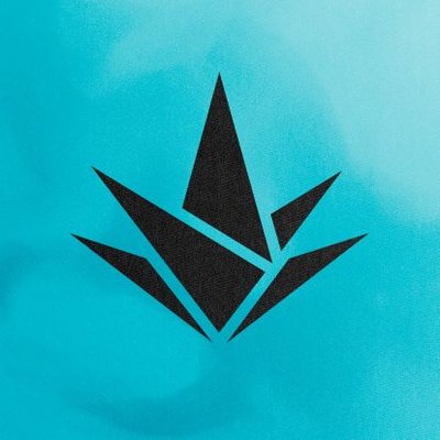 Akave Esports's profile picture