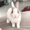Nophamon's profile picture