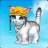 Rescue Cat: On My Way To The Cake No Bakary's profile picture