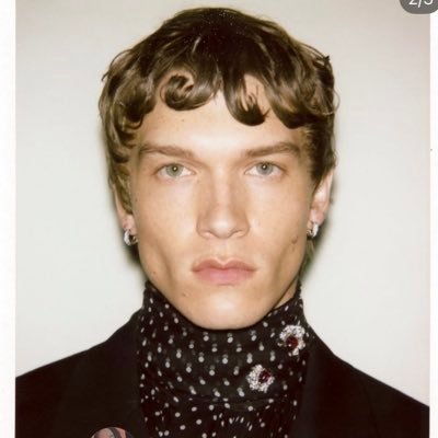 daily connor storrie's profile picture