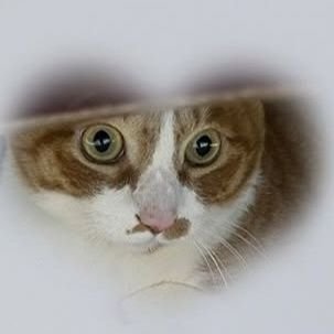 sjwjewelz's profile picture