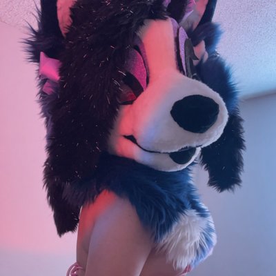 ShotsOnStella's profile picture