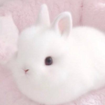 vipxrimgn's profile picture