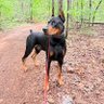 НАЯЦКІ profil fotoğrafı