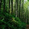 Фото профиля greenarb1