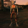 Profilbild von Snorts-the-Skooma(Farmtool)