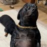 bustaxkapp profil fotoğrafı