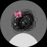 Lost's profile picture