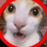 L profil fotoğrafı