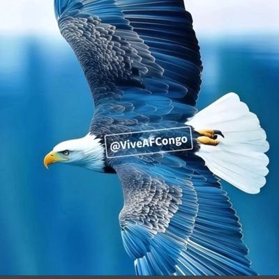 Vive AFC🇨🇩's profile picture