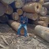 Profilbild von NAYOH