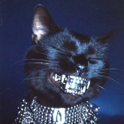 solanaforpoors.sol's profile picture