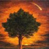 Profilbild von Elm Tree