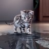 Фото профиля Fizan