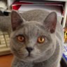 Profilbild von Joe Nathan