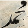 Mohammad.Shehata 的头像