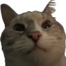 Profilbild von silliest of them all (Landon)