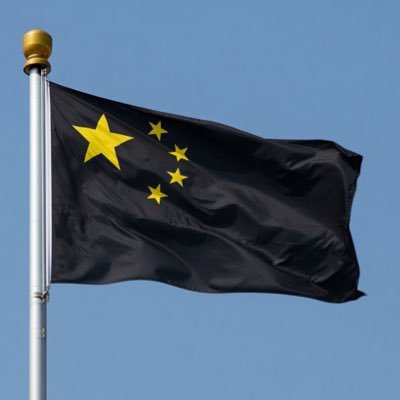 Black China ブラックチャイナ's profile picture