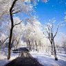 Фото профиля ことり