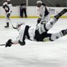 Profilbild von Hockey Heckler