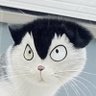 ミライ@底辺's profile picture