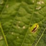 Фото профиля あかうんとよう
